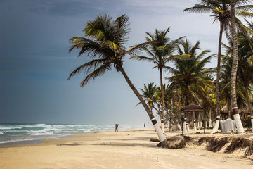 Beautiful beaches of Venezuela