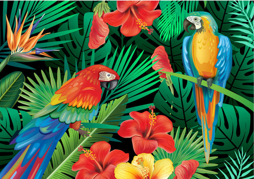 Parrots with tropical plants