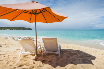Beach vacation background scenic landscape at the sea with palm trees and blue teal water