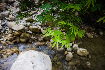 Akamas Peninsula National park on the Cyprus
