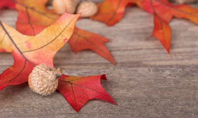Colorful Oak Leaves and Acorns on Weathered Wooden Surface