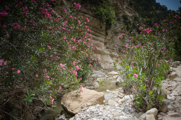 Akamas Peninsula National park on the Cyprus