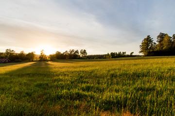 Obraz premium Sunset over agricultural landscape