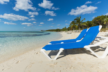Obraz premium Beach vacation background scenic landscape at the sea with palm trees and blue teal water