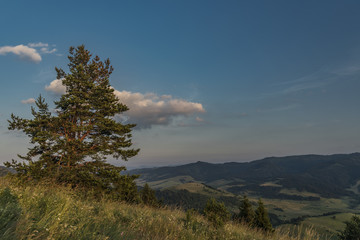 Evening near Slachovky hill over sheep chalet