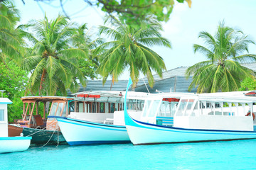 Berth with modern boats at tropical resort