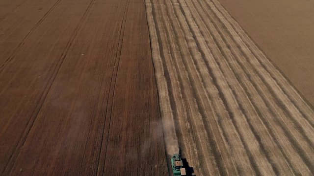 Harvesting the wheat field with agricultural machinery. Aerial photography with a drone