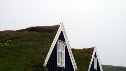 traditionelle isländische Häuser im Nationalpark Skaftafell in Island