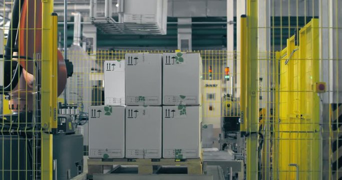 A jointed robotic arm at the packaging line