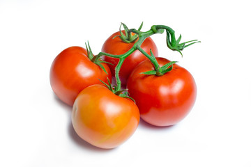 Fresh tomatoes on white background