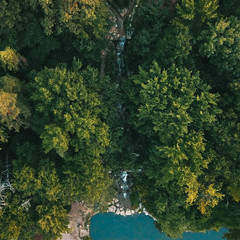 Bird's Eye View of the Pond