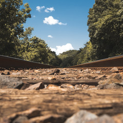 Train Tracks Through the Woods