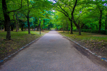 Pavement path in a park near of the Osaka Castle in Osaka, the castle is one of Japan's most famous landmarks