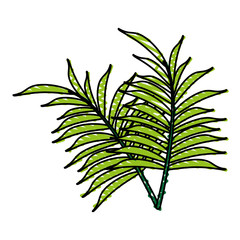 delicate flower doodle image