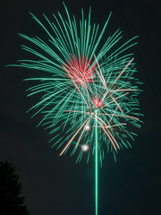 Vertical photo of green and red fireworks exploding in the night sky with a tree silhouetted on the...