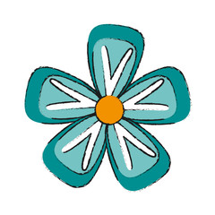 delicate flower draw image