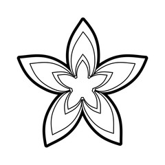 delicate flower paint image