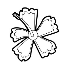 delicate flower paint image