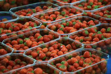 Strawberries on display