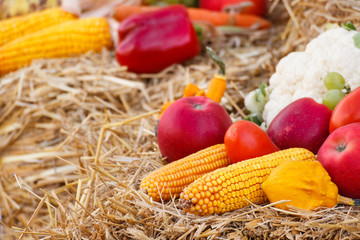 Fresh fruit and vegetables on straw, agriculture on summer or autumn