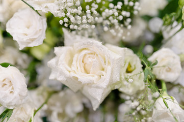 closeup droplet on white rose flower  / wedding flower decoration