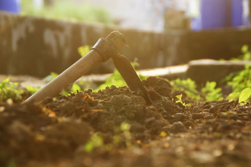 Hoe On The Ground In The Garden