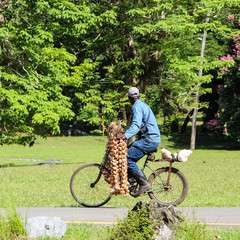 Cuban garlic vendor