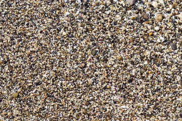 Coastal beach pebbles
