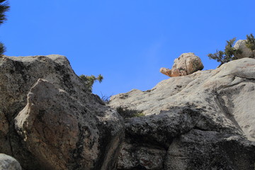 Turtle-shaped Rock in Mt. San Jacinto State Park