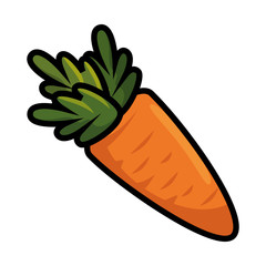 isolated carrot vegetable icon vector illustration graphic design