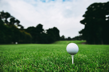 ゴルフボール