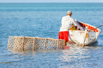  pêche au casier, île Rodrigues, Maurice 