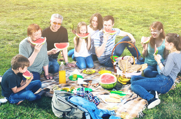 Ordinary family sitting and talking on picnic
