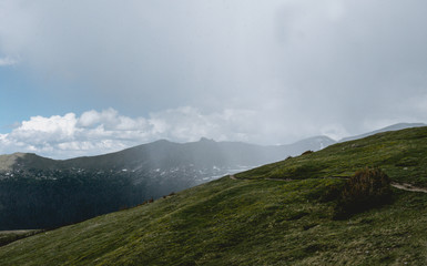 Alpine meadows in the Rocky Mountains