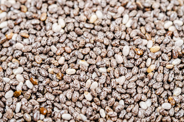 chia seed texture.