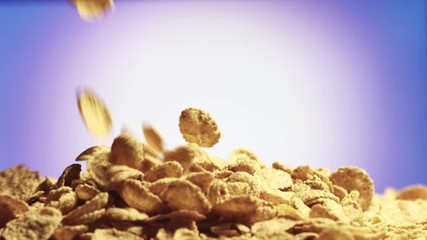 Cereals falling on heap on purple background - Powered by Adobe