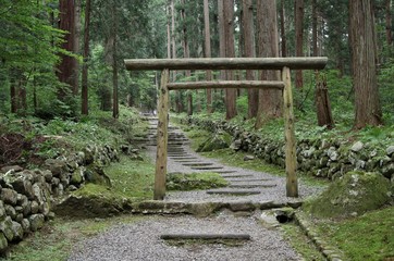 苔が美しい日本の神社の境内