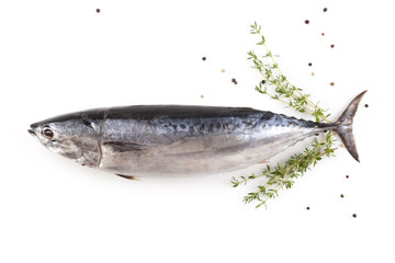 Raw tuna on white background