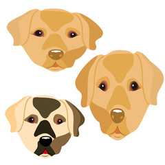Collection of head of cute dogs, cartoon on white background.