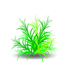 Green bush, cartoon on white background.