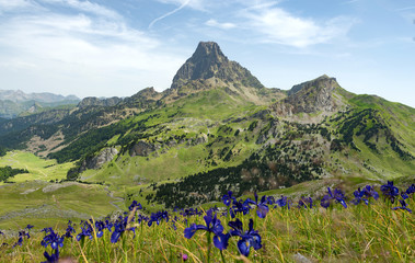 View of the Pic du Midi d'Ossau in the French Pyrenees