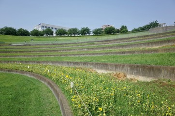 ７月の散歩