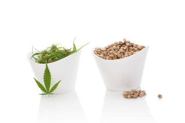 Cannabis seeds and marijuana buds.