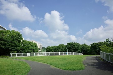 Fototapeta premium ７月の散歩
