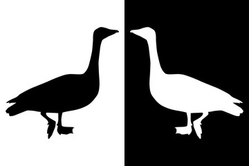Geese. Black silhouette