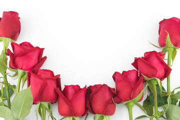 Red roses with green branch on white background with copy space