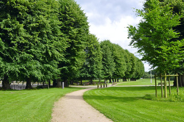 Small path through the park with green trees