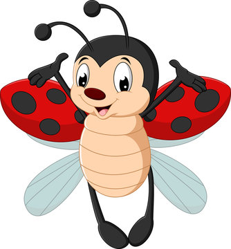 Cute Ladybug Cartoon