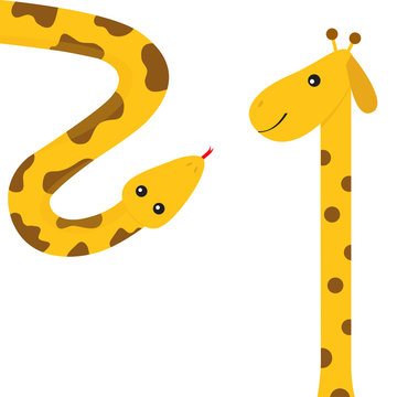 Giraffe with spot. Long neck. Yellow python snake red tongue. Crawling serpent. Zoo animal friends. Cute cartoon funny card for kids. Isolated. White background Flat design.