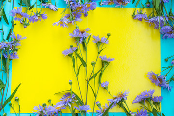Flower of perennial violet aster on yellow background. Floral frame. Top view.